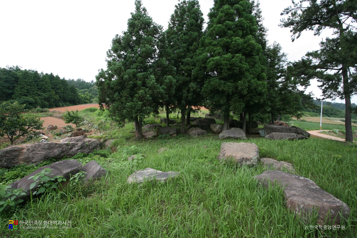 고흥 과역리 민등 지석묘군 전경