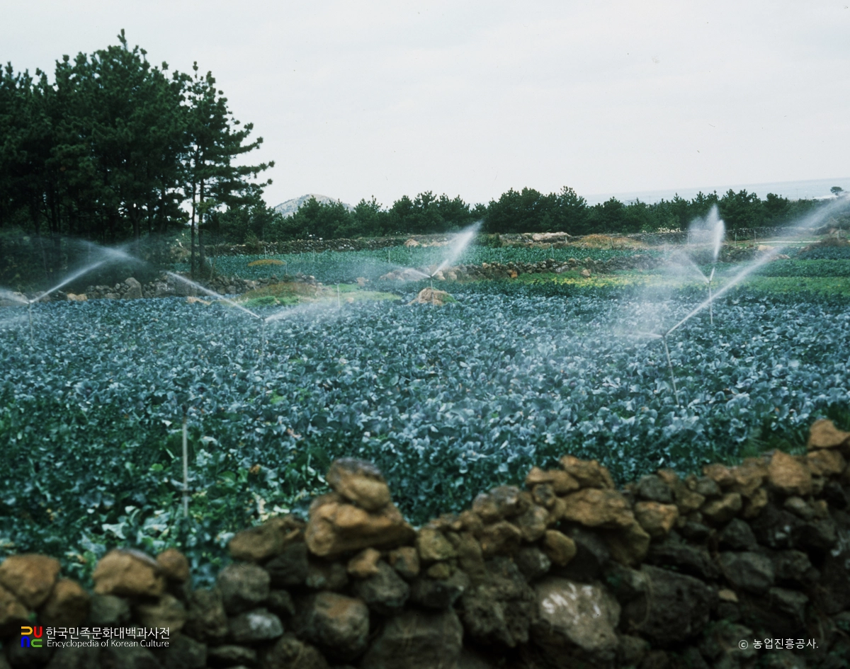 지하수 이용(스프링쿨러)