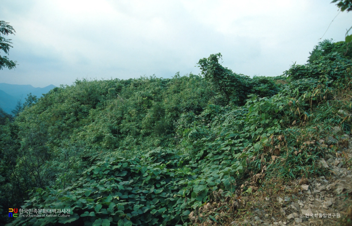 양산 북부동 산성