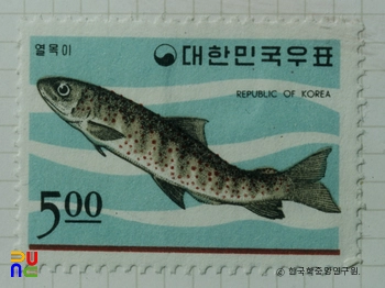 특별우표(1966년)