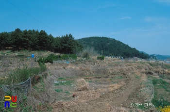 거제 아주동 고분