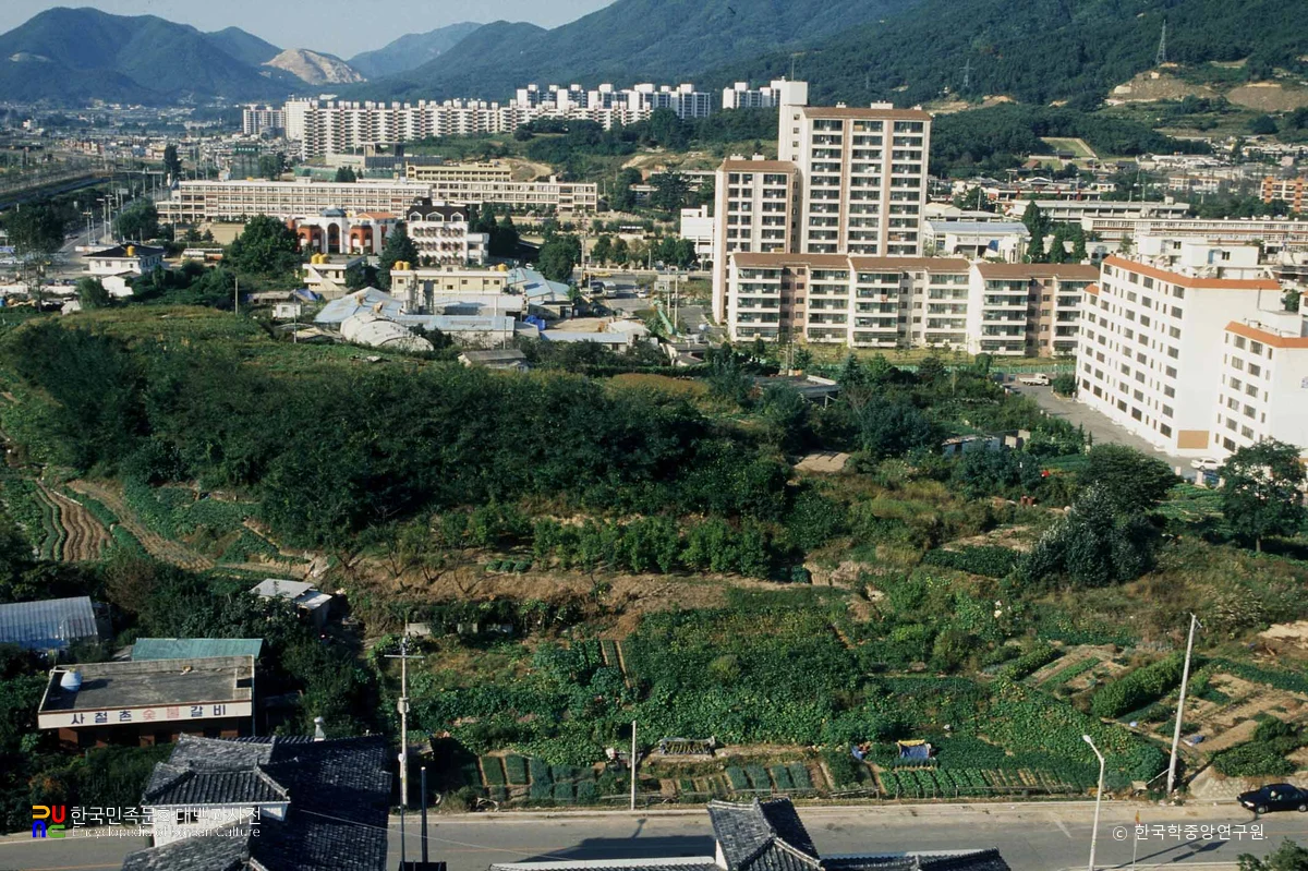 김해 대성동 고분군