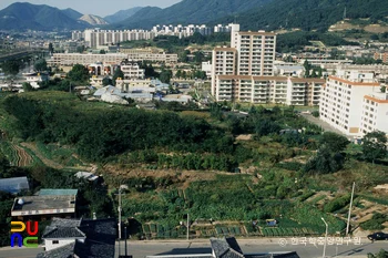 김해 대성동 고분군