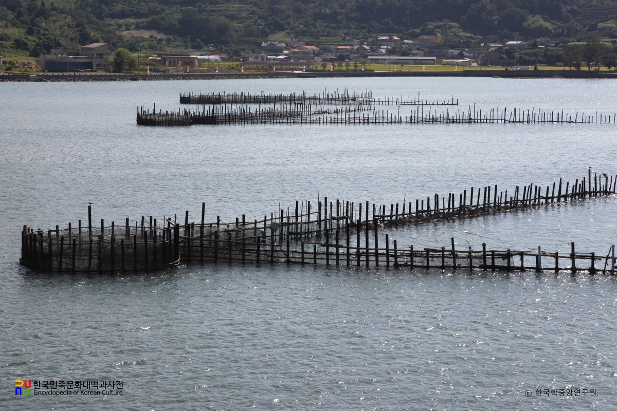 남해 지족해협 죽방렴