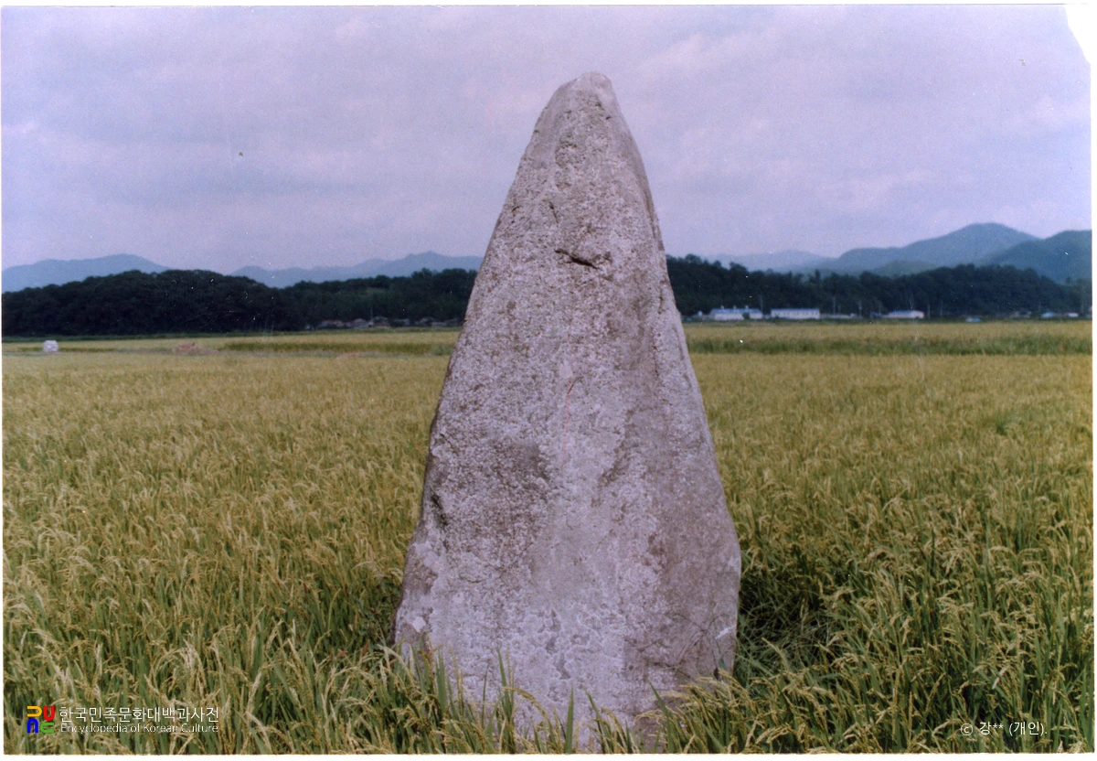 진양 대천리 입석