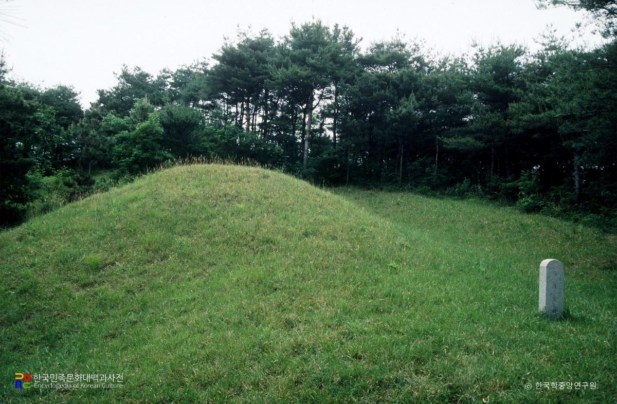 경주 신라 희강왕릉 정측면