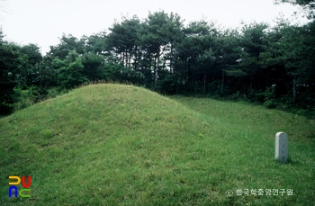 경주 신라 희강왕릉 정측면