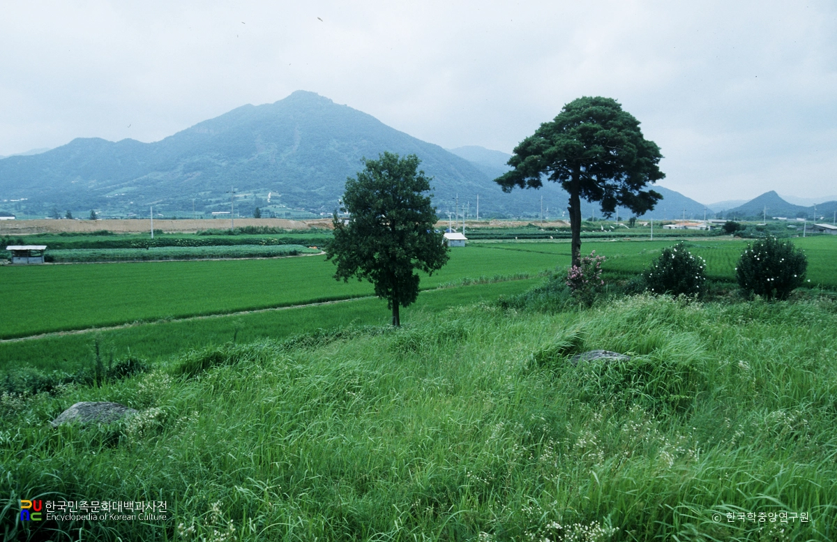 구례 봉서리 지석묘군