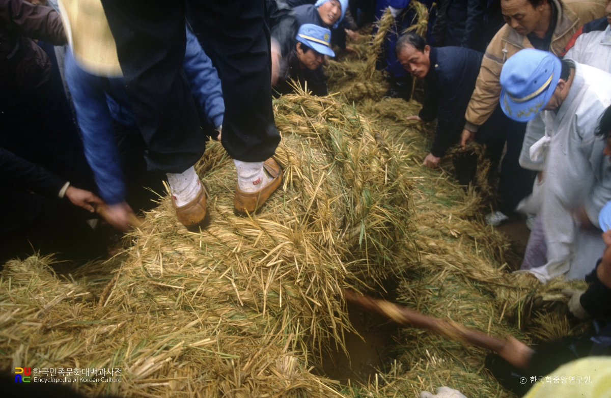 영산 줄다리기 / 비녀목 꽂기