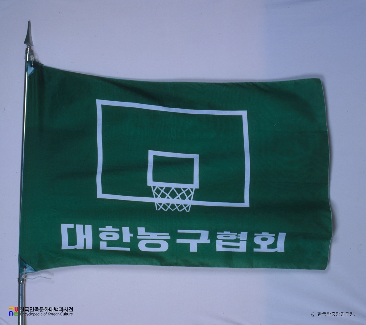 대한농구협회 기