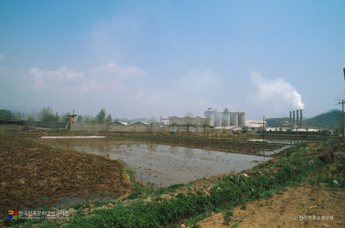 시멘트 생산 출하