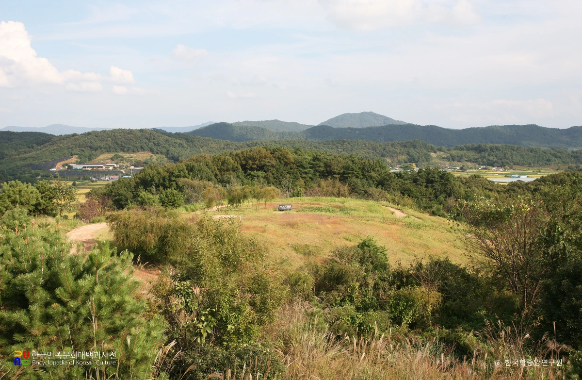 공주 장선리 유적