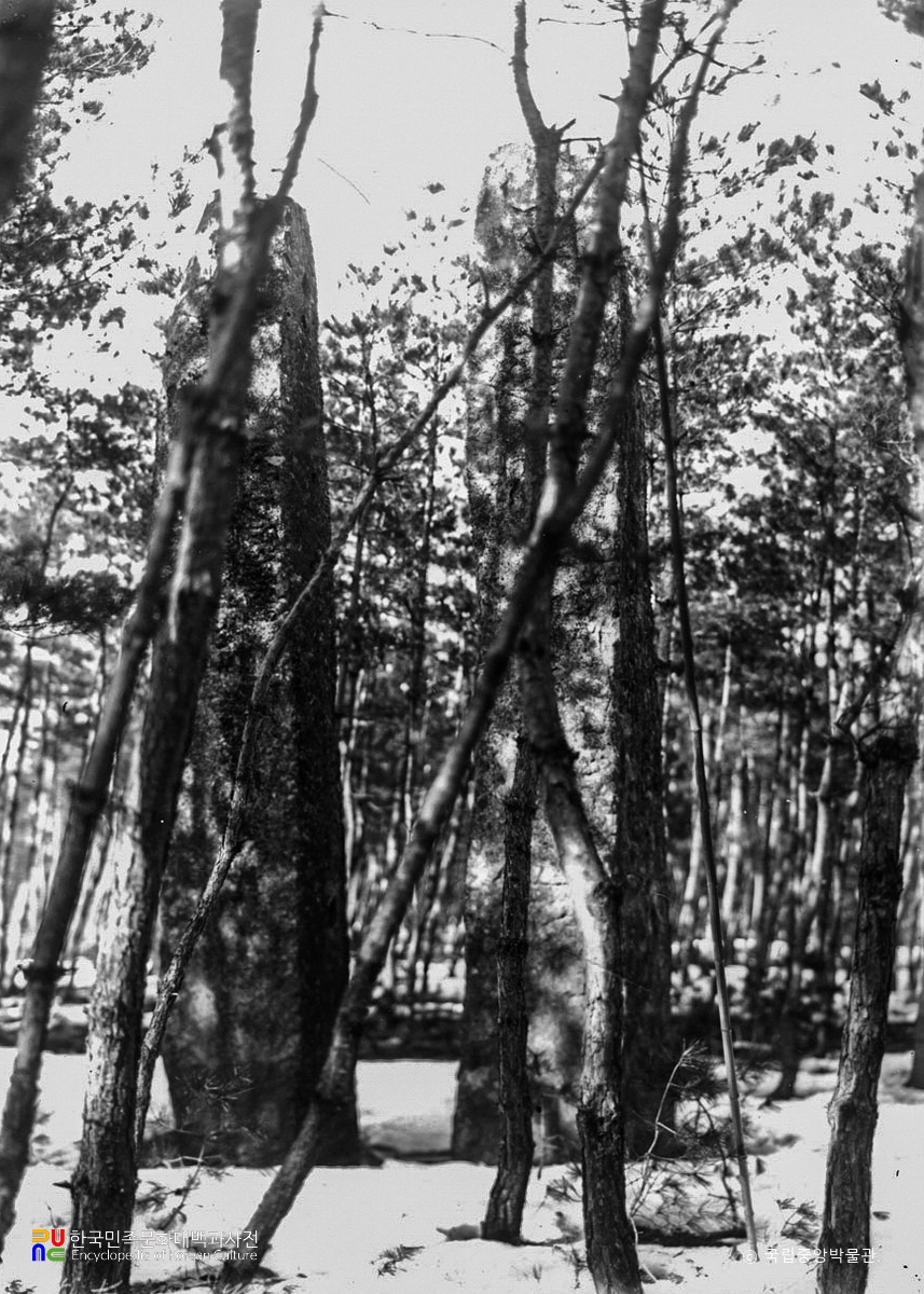 강릉 굴산사지 당간지주 정면