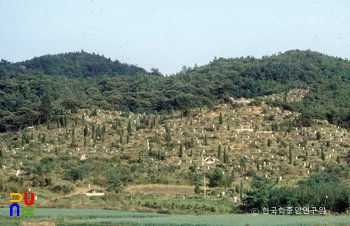 공동묘지