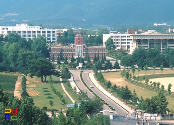 전남대학교