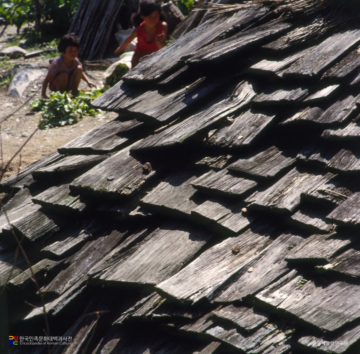 삼척 신리 소재 너와집 지붕