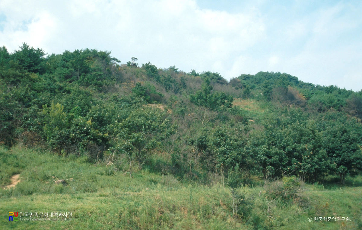 양산 신기리 산성