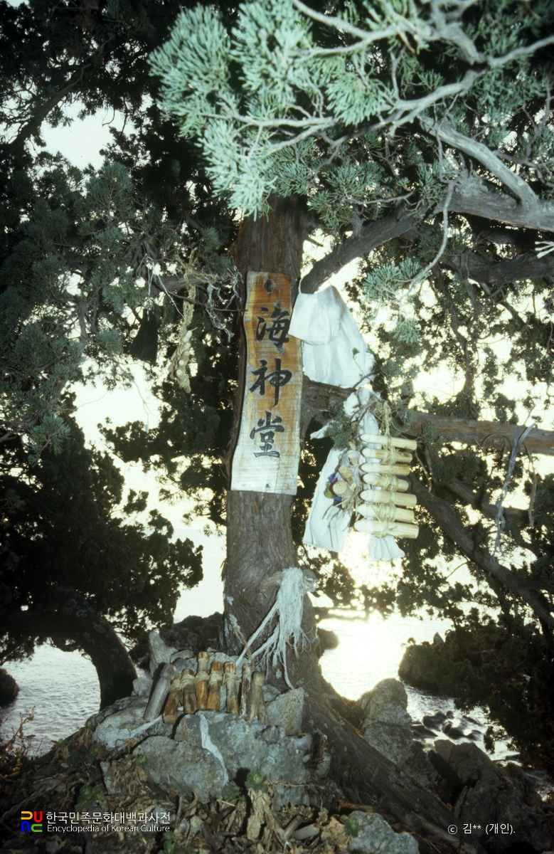 삼척 신남리 해신당
