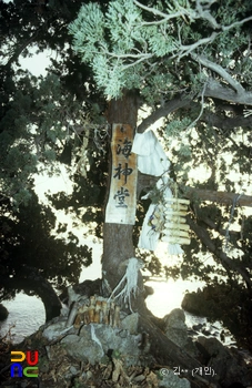 삼척 신남리 해신당