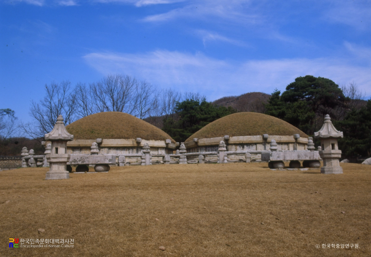 서울 조선 태종과 원경왕후 헌릉 정면