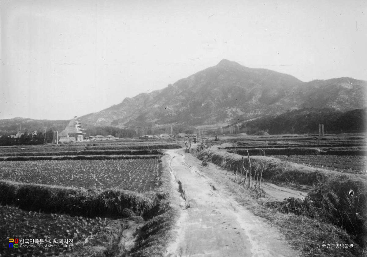 익산 미륵사지 전경