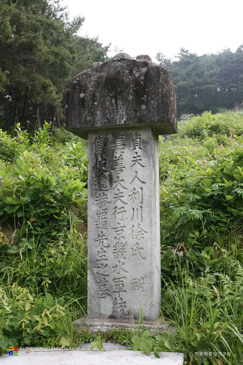 나주 나대용 생가 및 묘소 중 묘소의 묘비 정측면