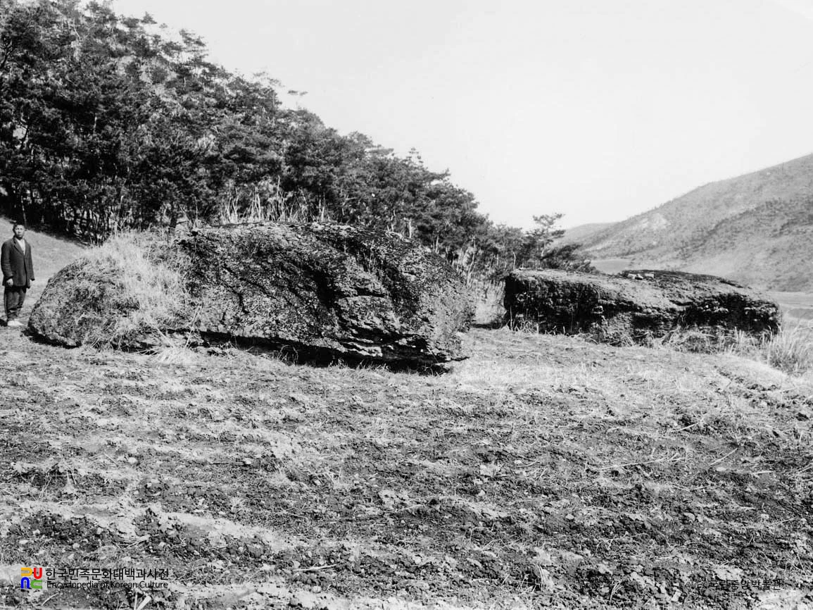 나주 노동리 서부 지석묘군 전경