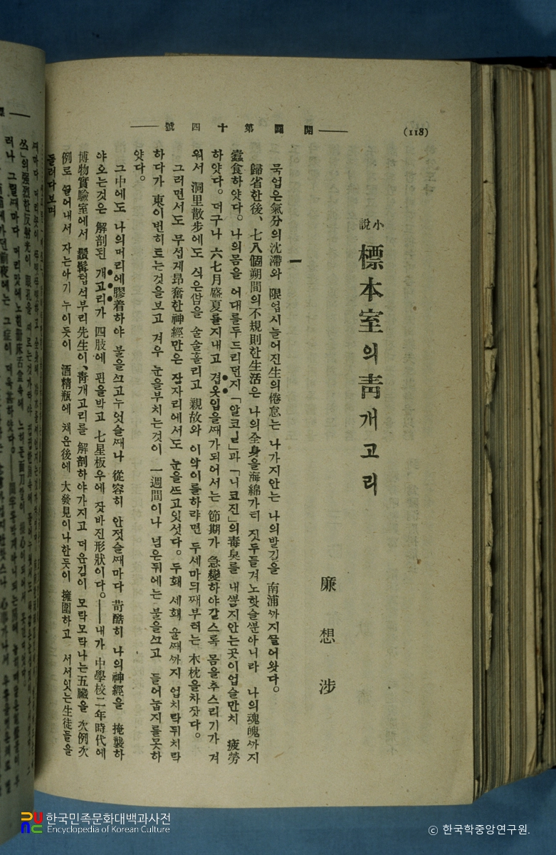 표본실의 청개구리 / 염상섭