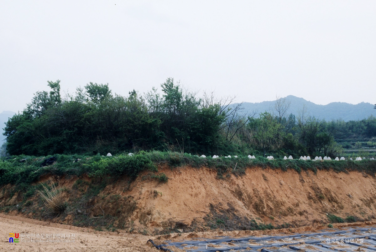 해남 용두리 고분