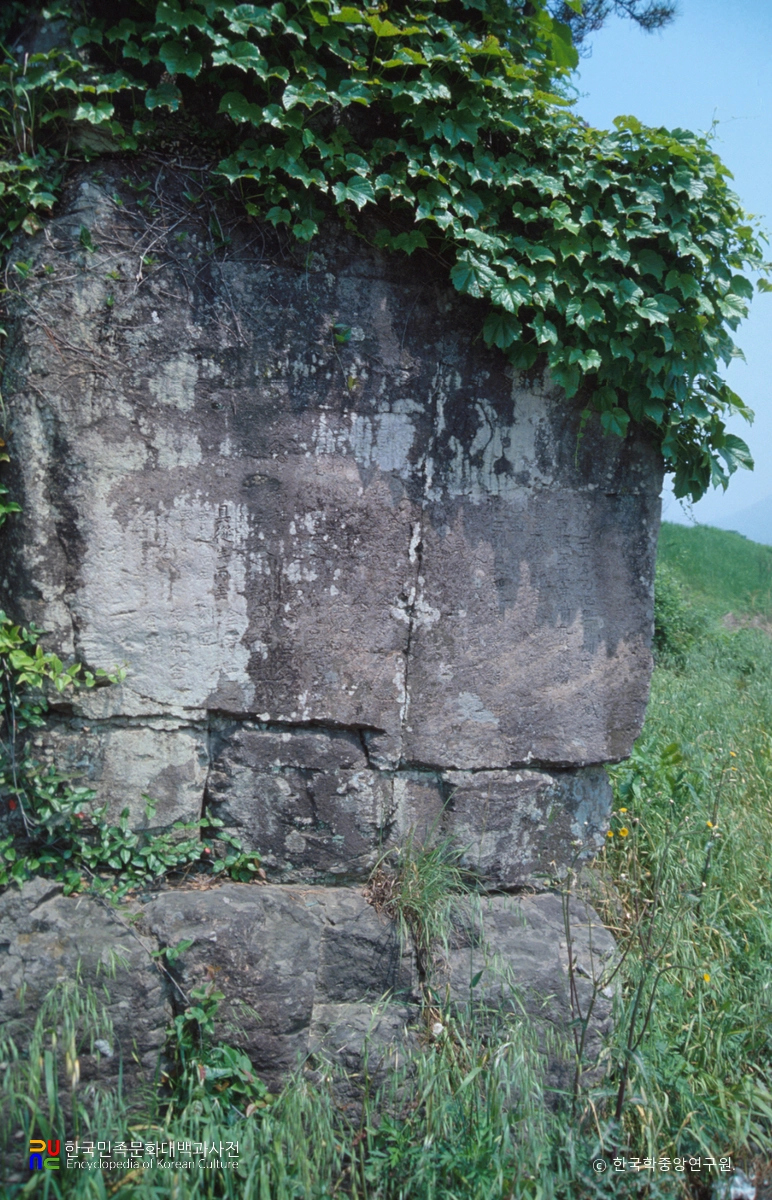 화순 성화명도로 수축 시주목록 암각기문