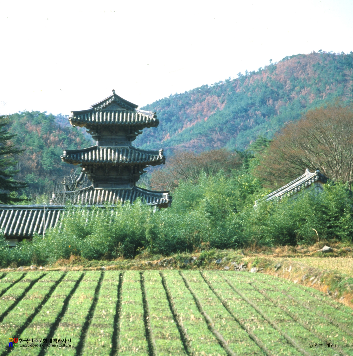 화순 쌍봉사 대웅전