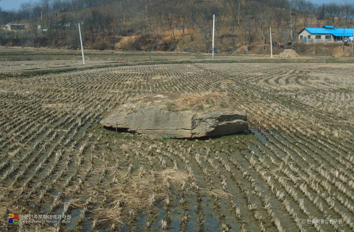 오산 금암리 지석묘군