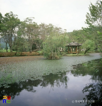 고성 장산숲