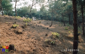 춘천 증리 고분군