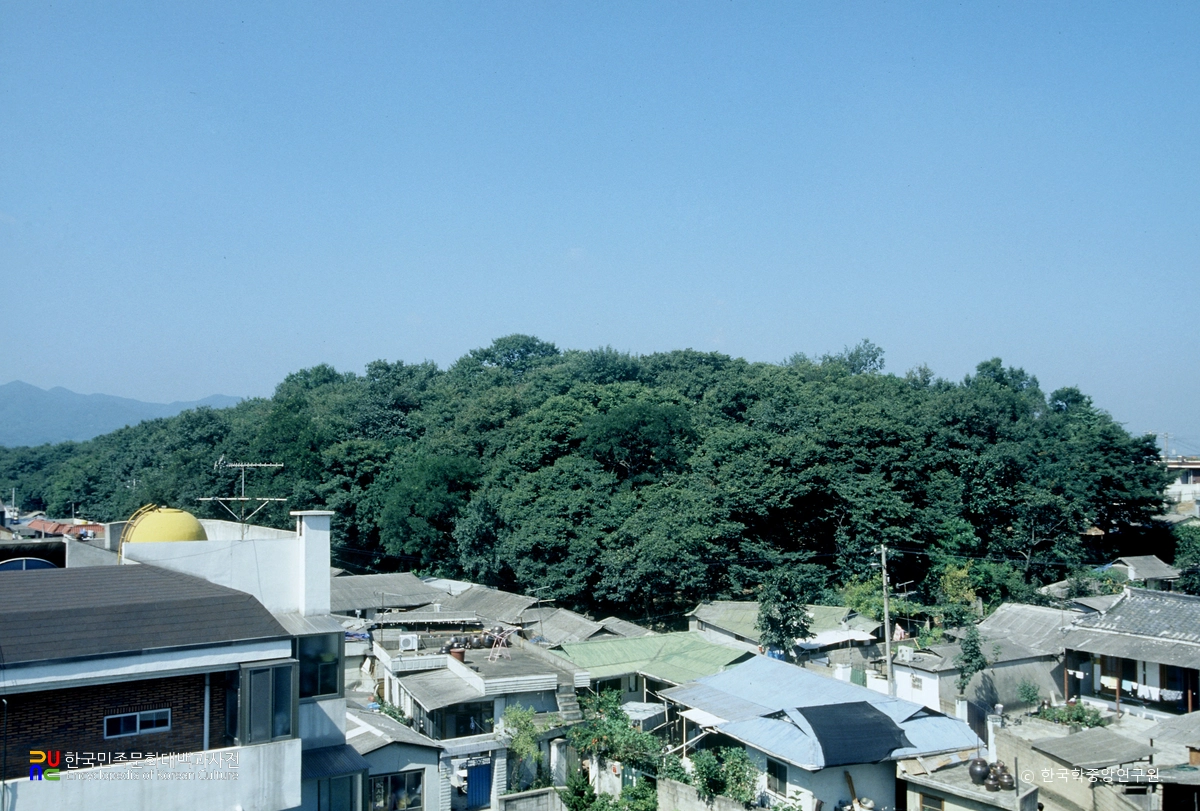 경산 자인 계정숲