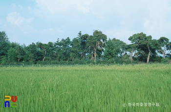 익산 제석사지