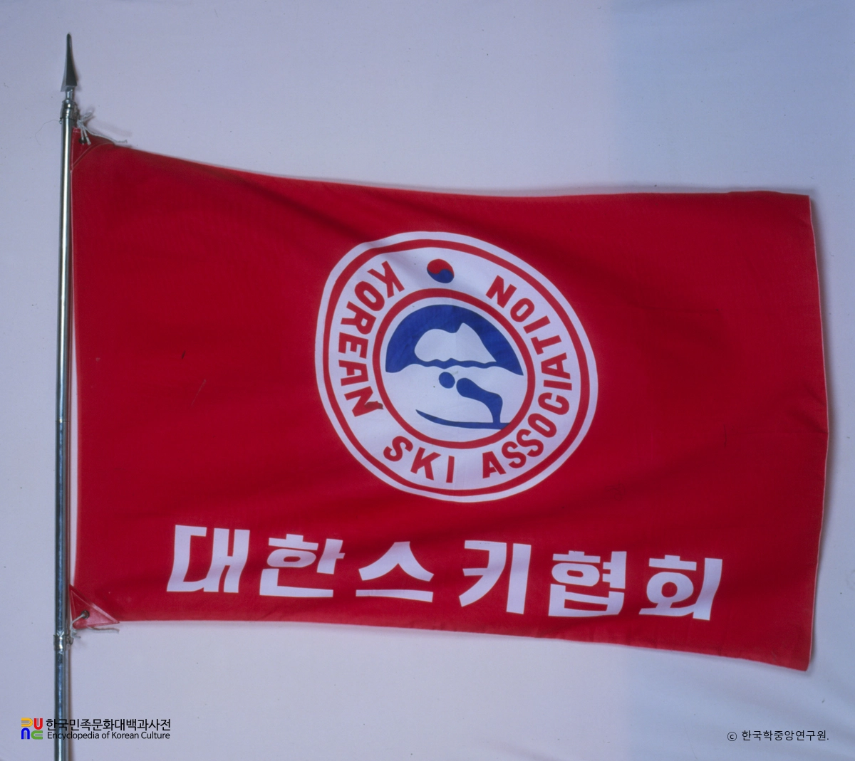 대한스키협회 기