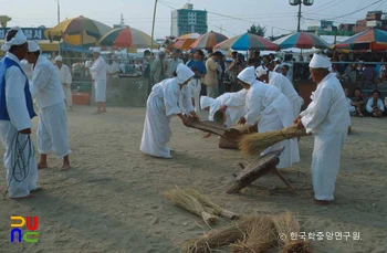 강릉 학산 오독떼기 벼타작