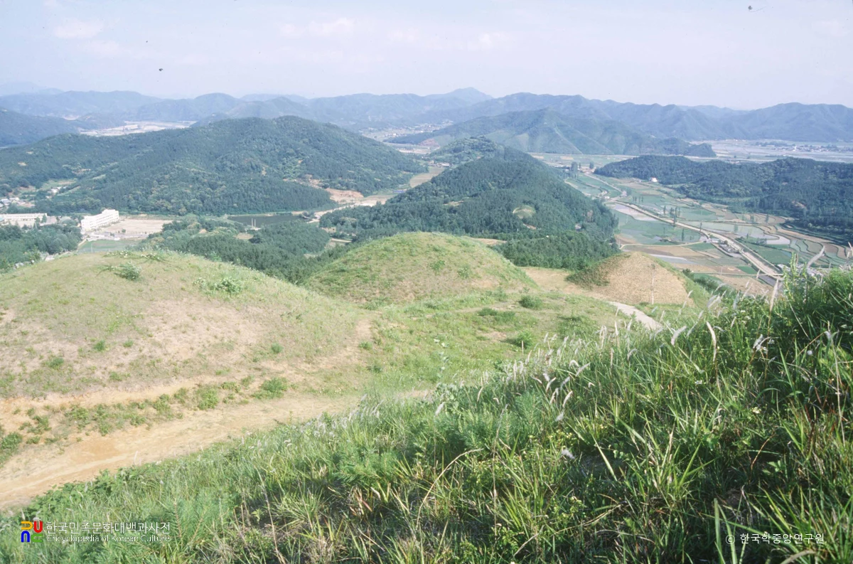 고령 지산동 고분군 전경