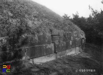 경주 신라 정강왕릉 호석