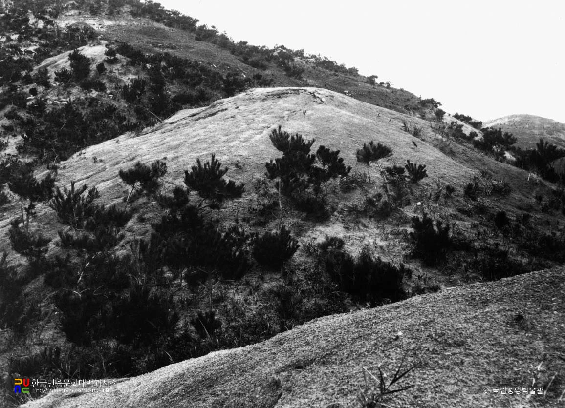 경주 동천동 유적