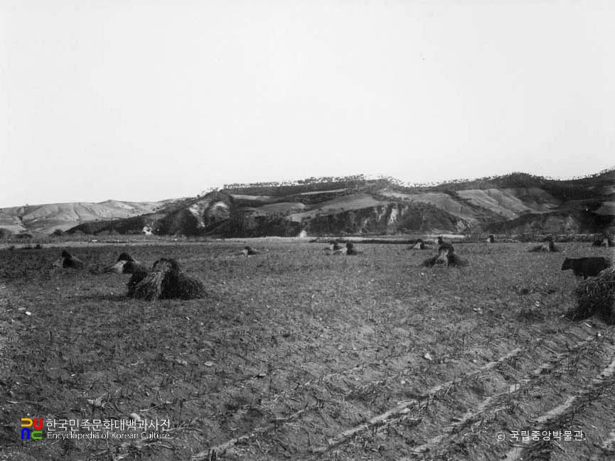 이원 대평리 산성 전경