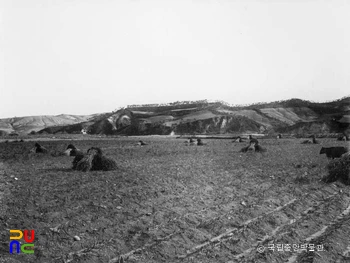 이원 대평리 산성 전경