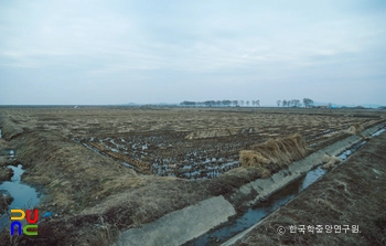 아산호 간척지