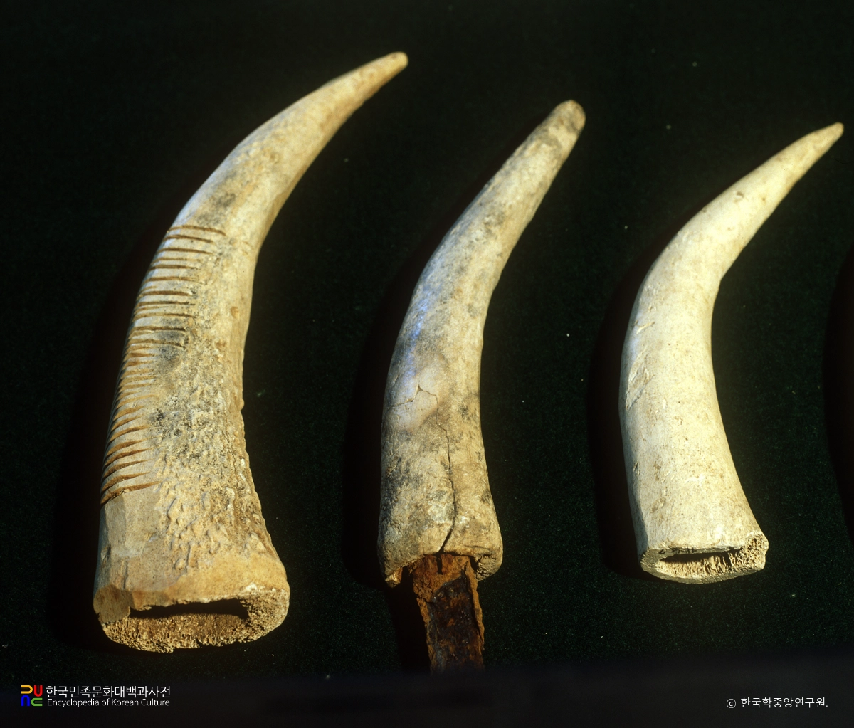 창원 성산 패총 칼손잡이