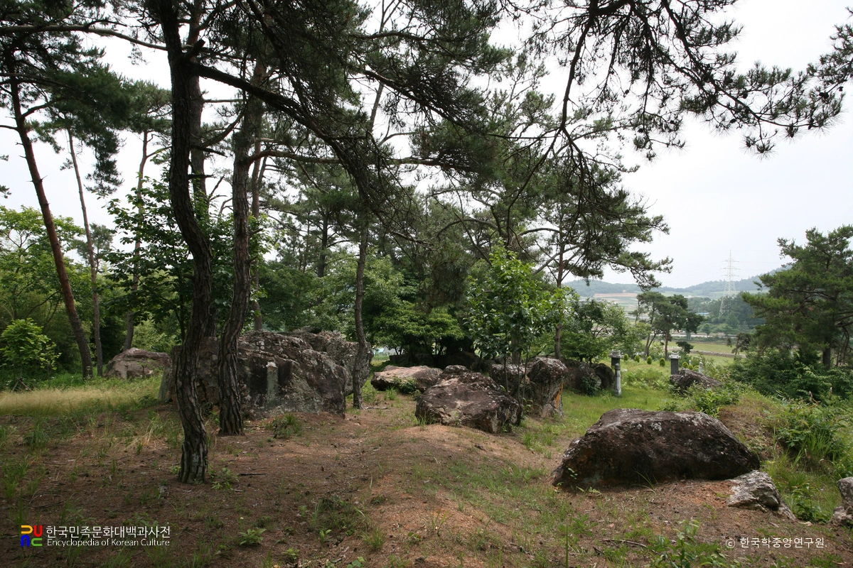 나주 신포리 지석묘군 전경