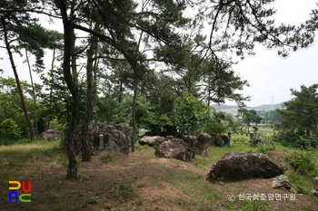나주 신포리 지석묘군 전경