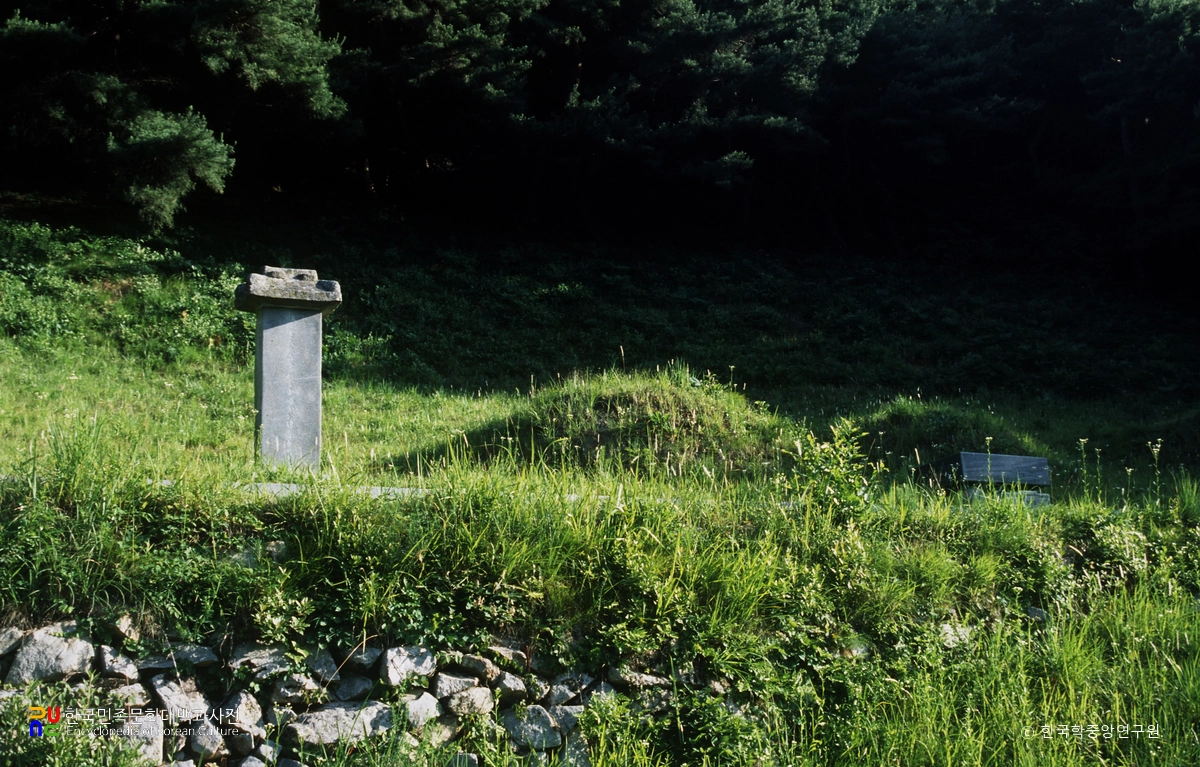 대구 김충선 묘 정측면