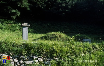 대구 김충선 묘 정측면