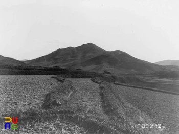 경주 선도산성 전경